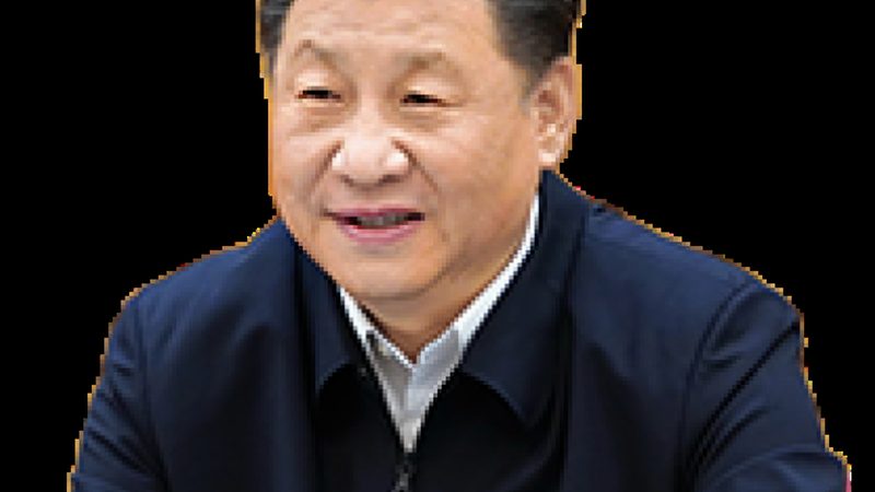 阻燃改性塑料：关键材料解析及其应用**